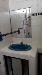 Emerald Hill Road (D9), Apartment #483547541